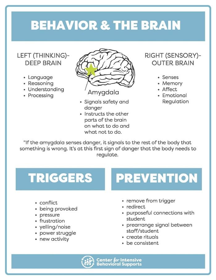 Resource for Behavior & the Brain 