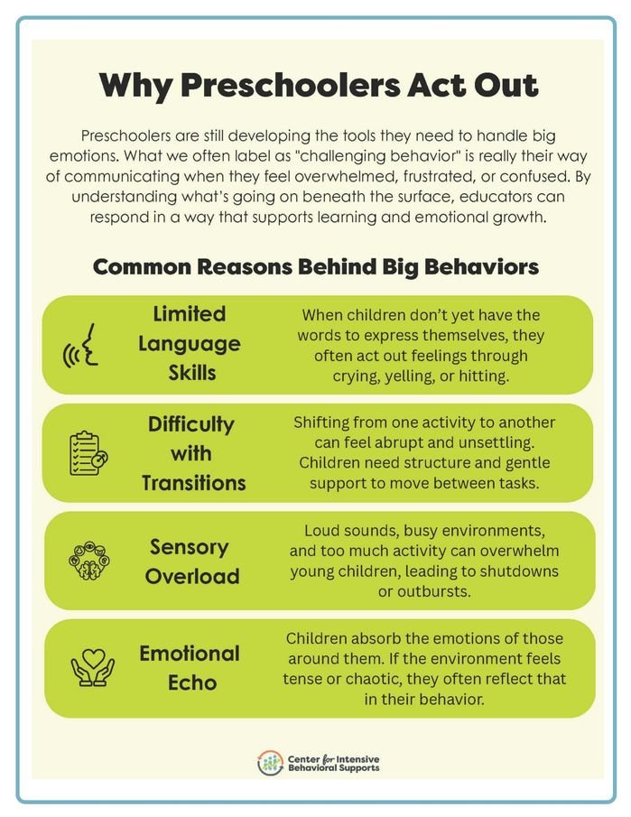 Resource for Why Preschoolers Act Out